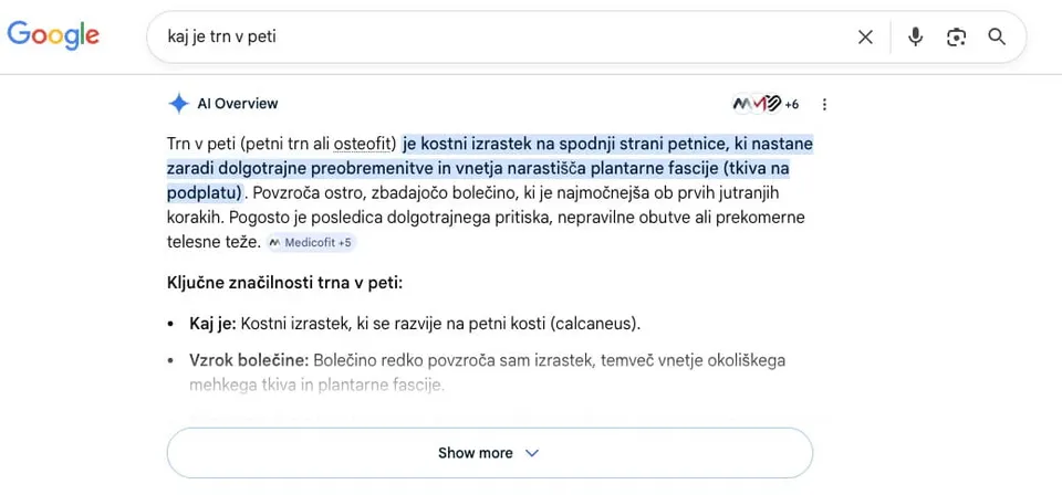 AI povzetek iz Googla