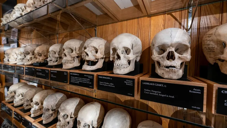 Atlas Obscura e-novice