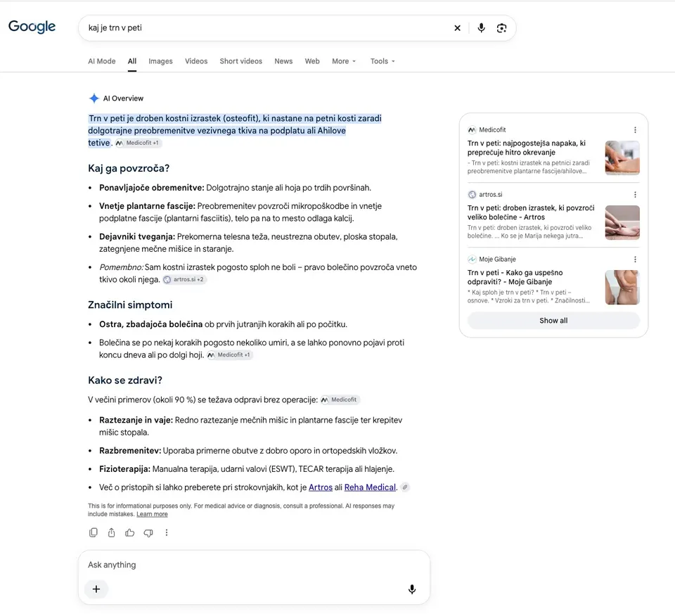 Kako prilagoditi spletno stran za prihodnost iskanja - Google AI Overviews