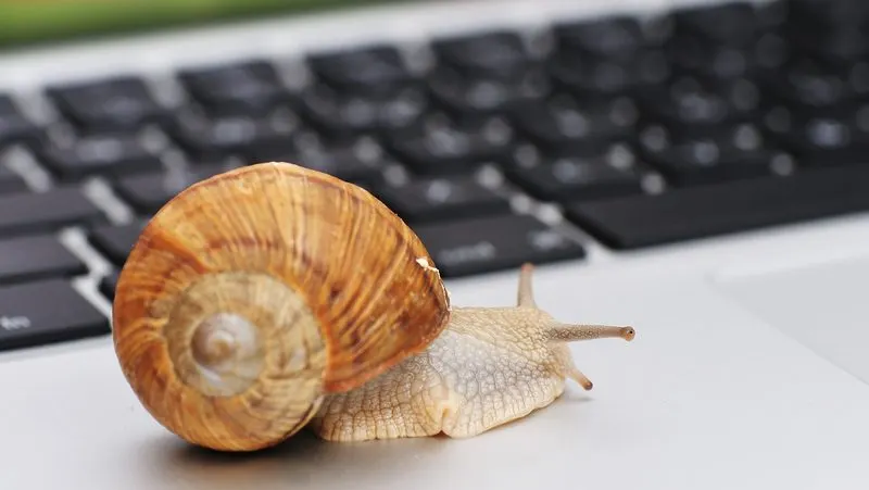 Polžje počasna spletna sran