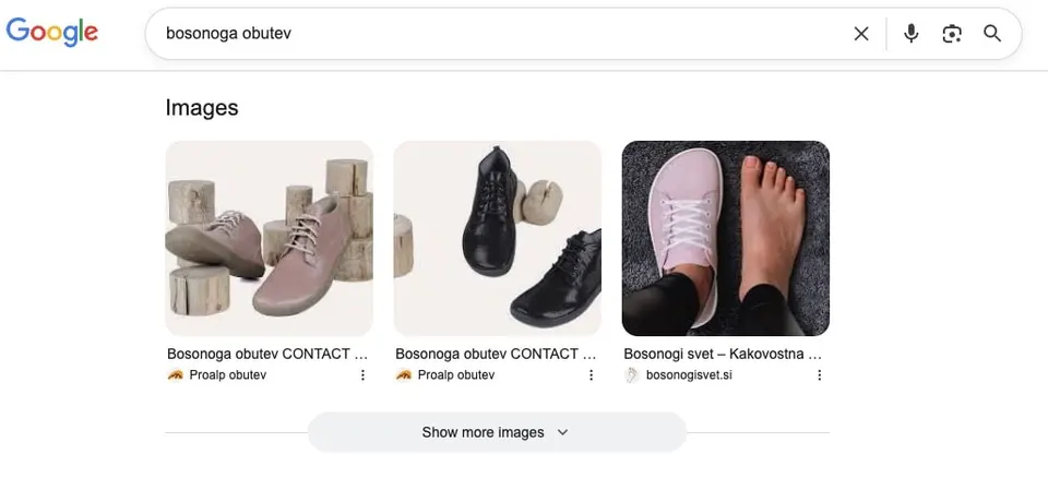 slike na prvi strani googla