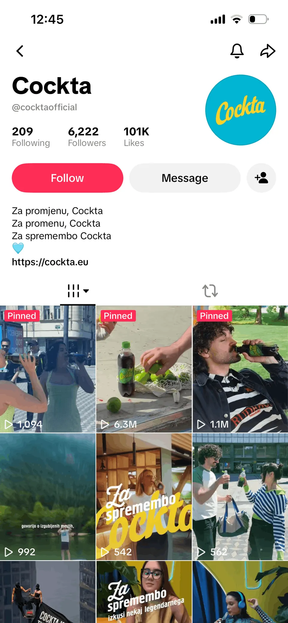 tik tok za podjetja 