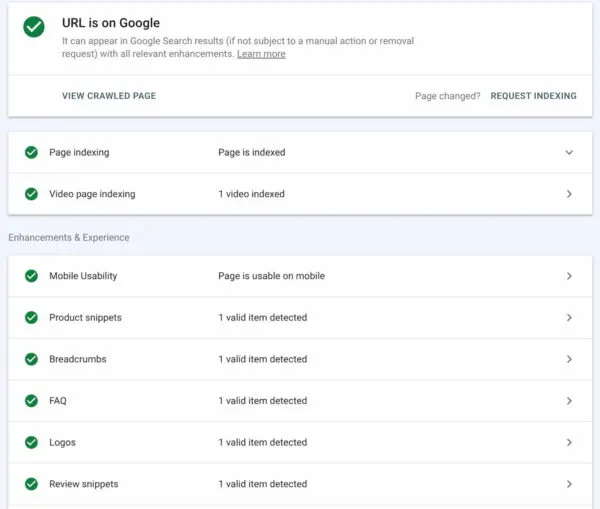 Google iskalna konzola - pregled URLja