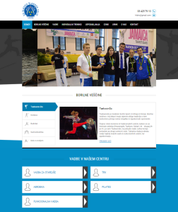 spletna stran, športno društvo